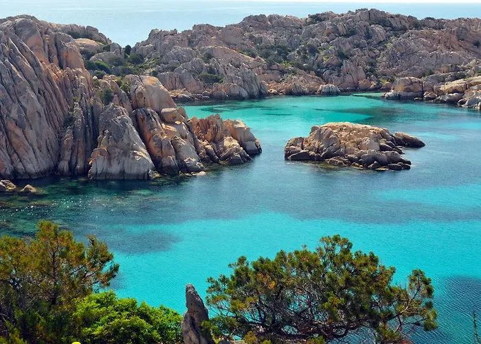 ダニエル ムルタ・マリア