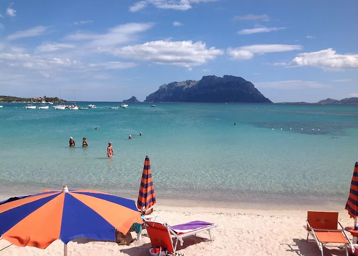 ダニエル ムルタ・マリア